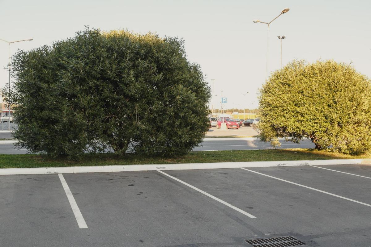 5 Sealcoating Benefits for Your Parking Lot